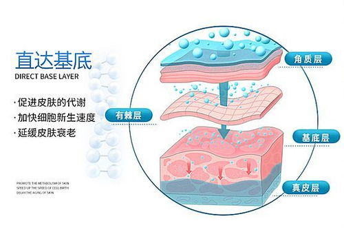 柔性脂质体在健康护肤领域的应用 护肤领域的 生物导弹